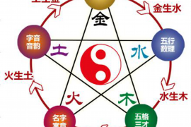 揭秘五行属木起名常用字，如何为孩子选择合适的名字？