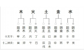 探索命运之谜，八字查命格