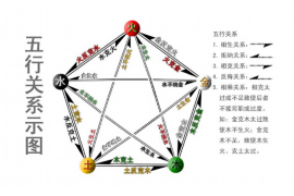 生肖兔与鸡的奇妙缘分，探寻性格特点与相处之道