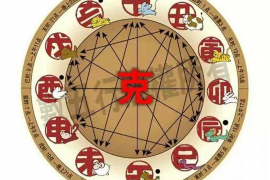 巧妙生成八字，解读人生之秘